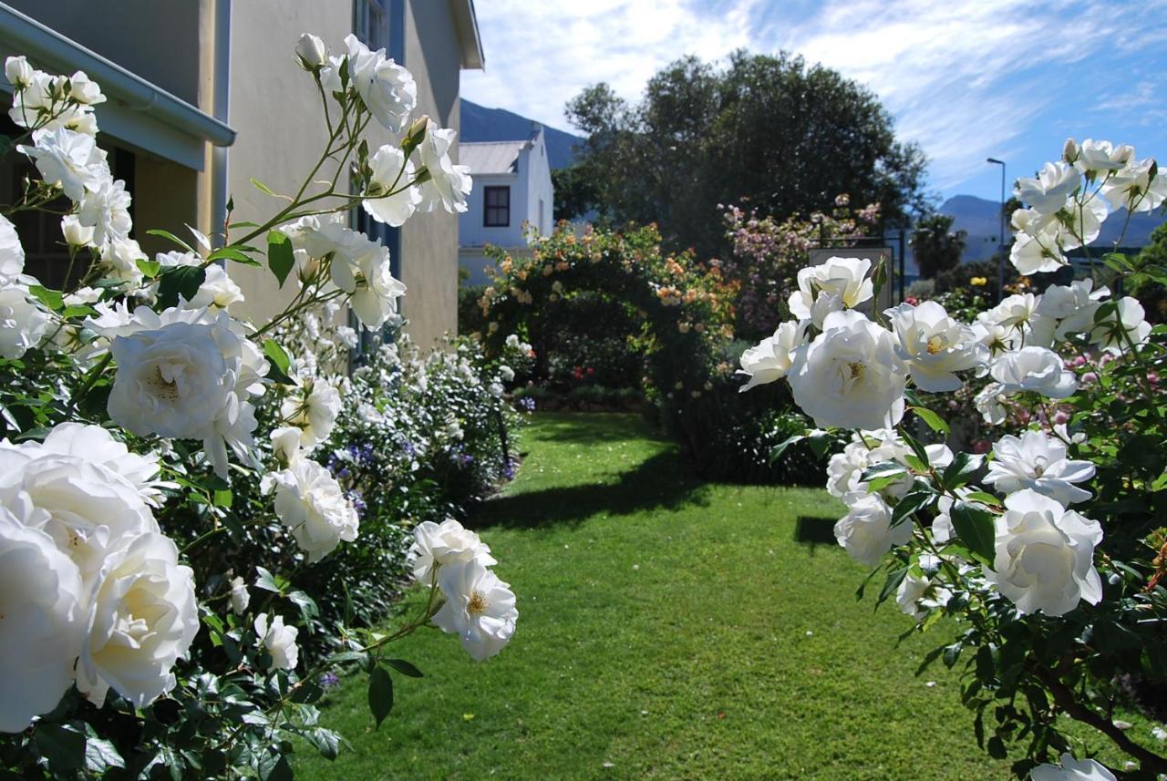 Lavender Cottage Franschhoek Εξωτερικό φωτογραφία